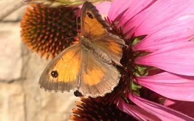 rendez-vous au salon Tendance Nature